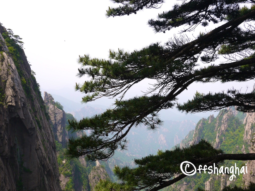 f:id:ffshanghai:20150816134340j:image f:id:ffshanghai:20150816134340j:image