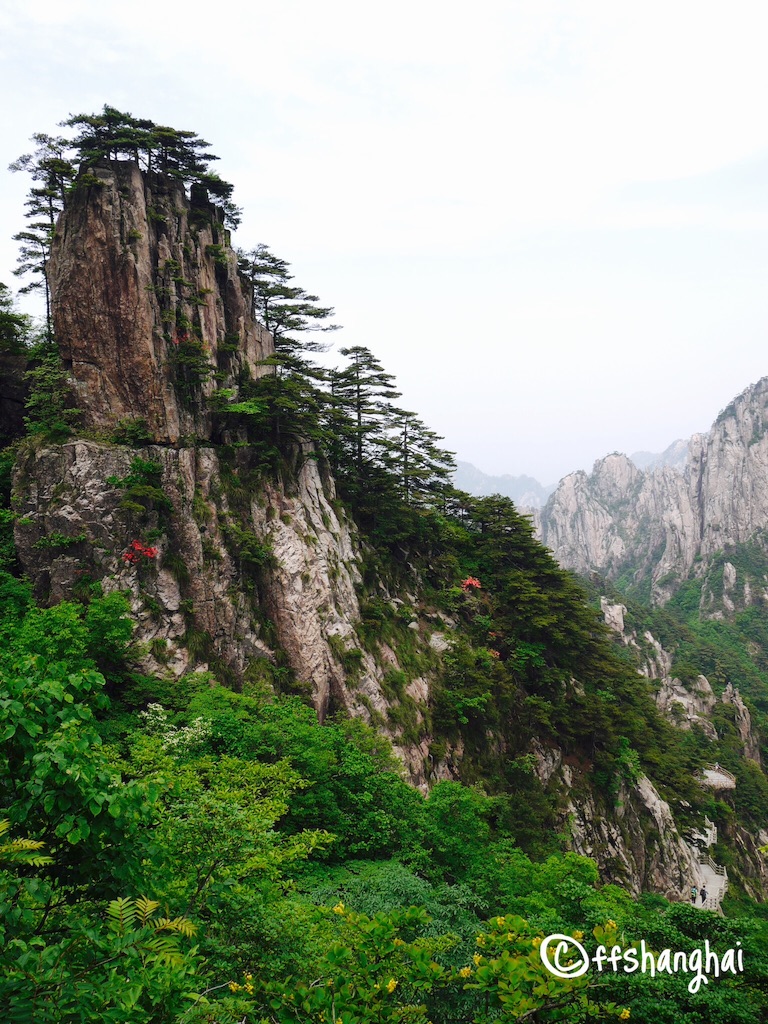 f:id:ffshanghai:20150816134501j:image f:id:ffshanghai:20150816134501j:image