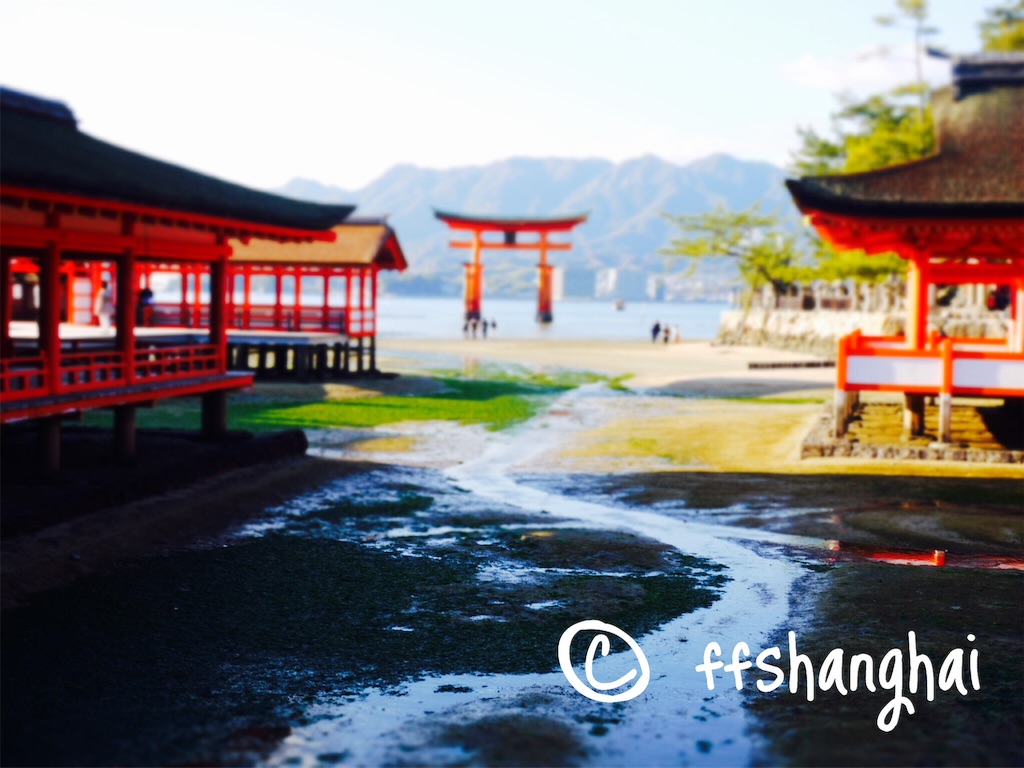 f:id:ffshanghai:20160320115131j:image f:id:ffshanghai:20160320115131j:image