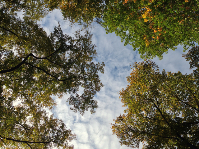 f:id:fhjnq:20131022234201j:plain f:id:fhjnq:20131022234201j:plain