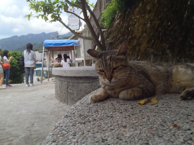 f:id:fileo:20130828190856j:plain f:id:fileo:20130828190856j:plain