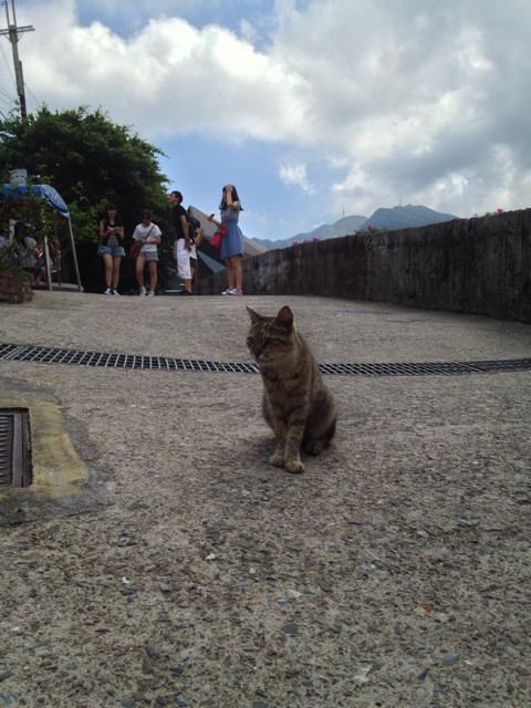 f:id:fileo:20130828191345j:plain f:id:fileo:20130828191345j:plain