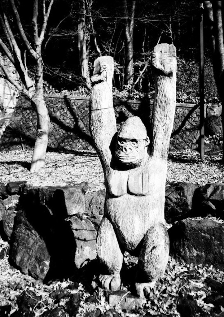 f:id:film_camera:20160220212853j:image f:id:film_camera:20160220212853j:image