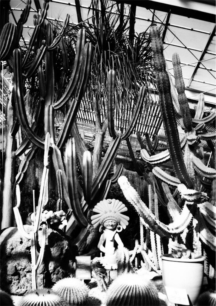 f:id:film_camera:20160220213212j:image f:id:film_camera:20160220213212j:image