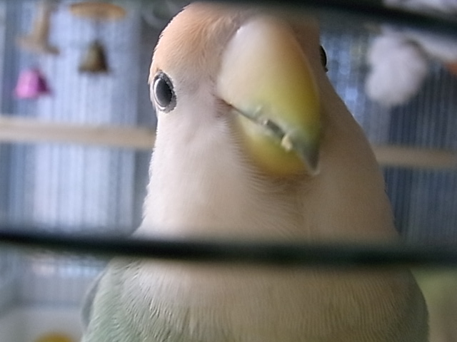 f:id:finalpacific:20140113142934j:plain f:id:finalpacific:20140113142934j:plain