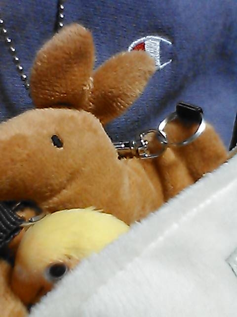 f:id:finalpacific:20140407222730j:plain f:id:finalpacific:20140407222730j:plain