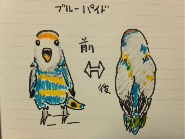 f:id:finalpacific:20141202222434j:plain f:id:finalpacific:20141202222434j:plain