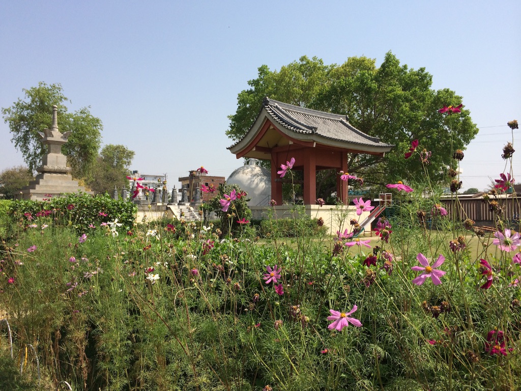 f:id:fineyoga:20151003180948j:image f:id:fineyoga:20151003180948j:image
