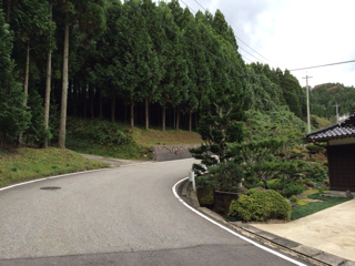 f:id:fishsword:20131026213531j:plain f:id:fishsword:20131026213531j:plain