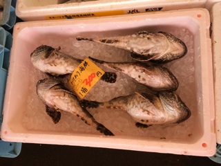 f:id:fishsword:20140616182754j:plain f:id:fishsword:20140616182754j:plain
