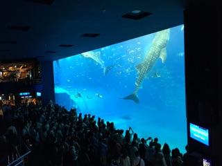 f:id:fishsword:20141108215144j:plain f:id:fishsword:20141108215144j:plain