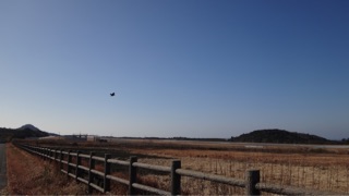 f:id:fishsword:20150117201504j:plain f:id:fishsword:20150117201504j:plain