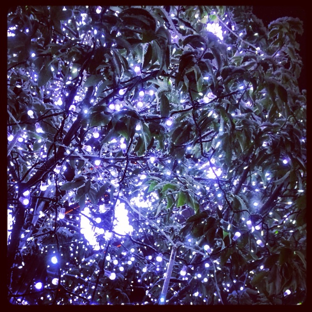 f:id:flashbacktender:20131214225303j:plain f:id:flashbacktender:20131214225303j:plain