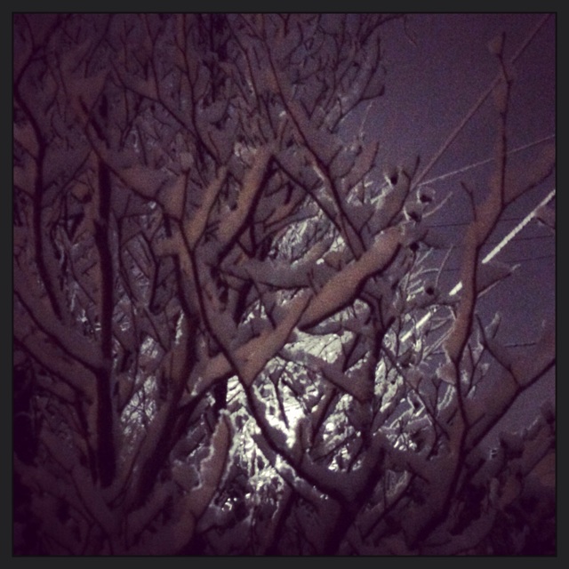 f:id:flashbacktender:20131214225335j:plain f:id:flashbacktender:20131214225335j:plain
