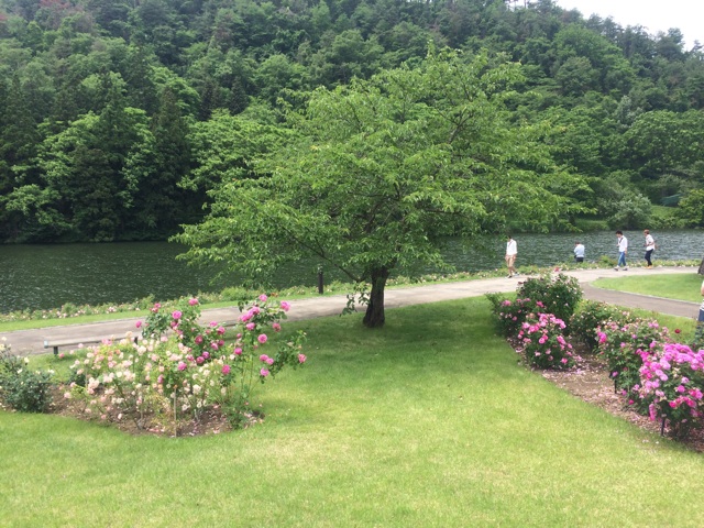 f:id:flashbacktender:20140624115419j:plain f:id:flashbacktender:20140624115419j:plain