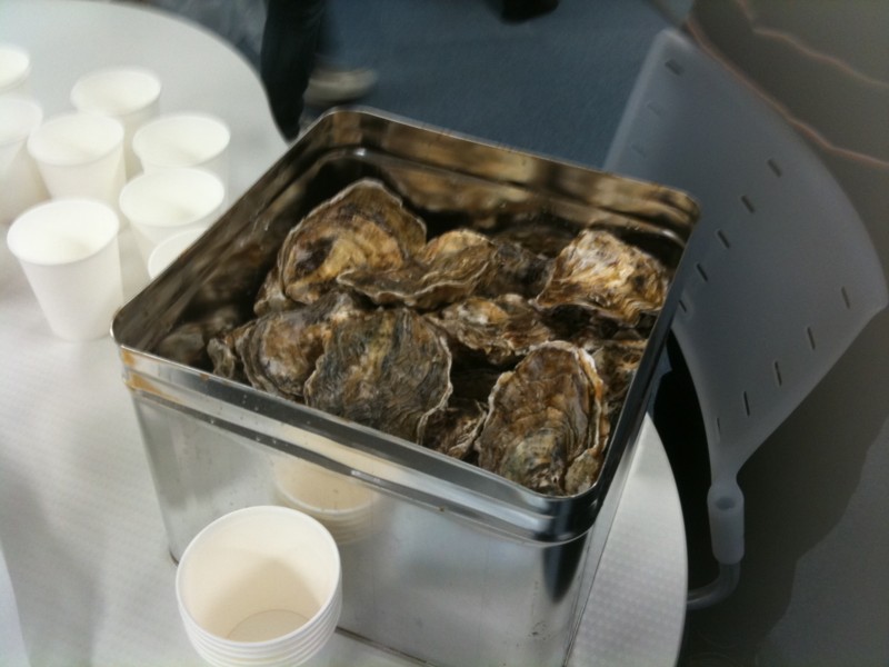 f:id:flashingwind:20100319175345j:image:w500