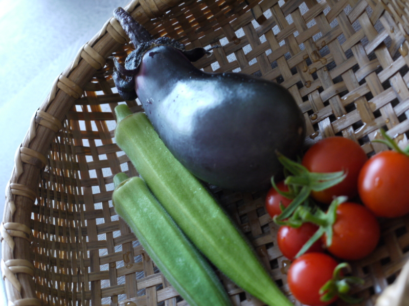 f:id:flower74230492:20130725175951j:plain