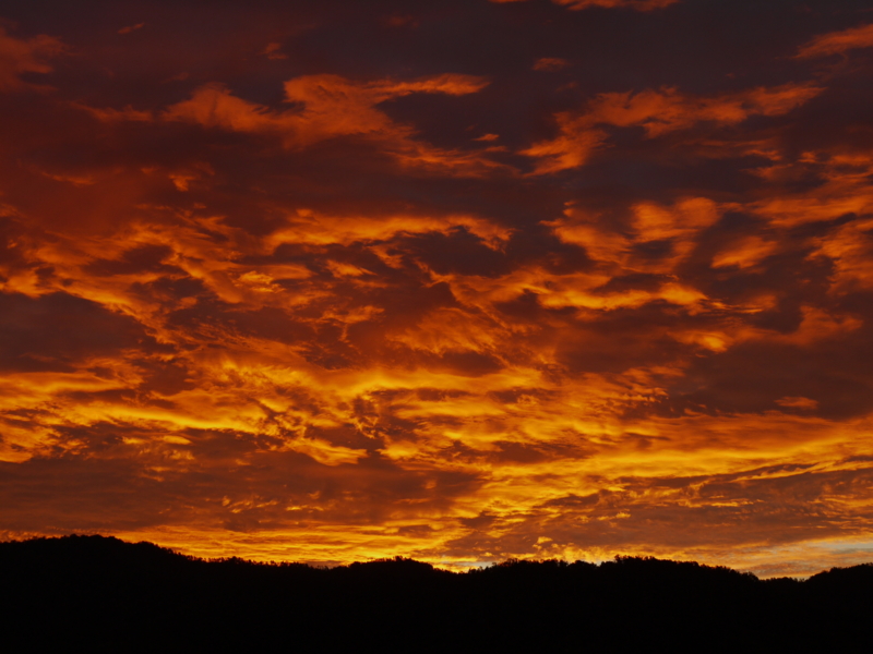 f:id:flower74230492:20130930054221j:plain