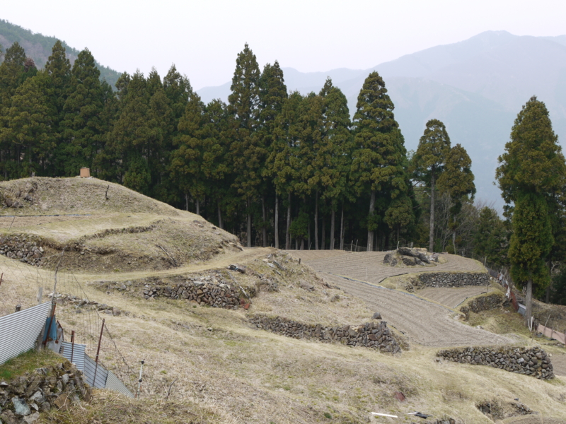 f:id:flower74230492:20140416120337j:plain