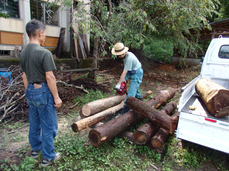 f:id:flower74230492:20140907103750j:plain f:id:flower74230492:20140907103750j:plain