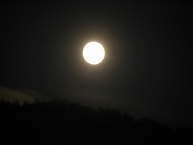 f:id:flower74230492:20140909185206j:plain