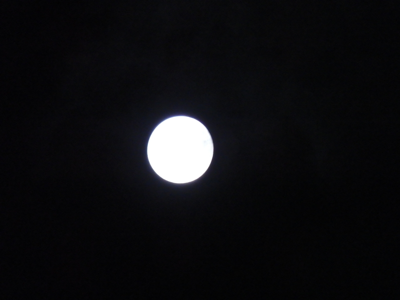 f:id:flower74230492:20141008215134j:plain f:id:flower74230492:20141008215134j:plain