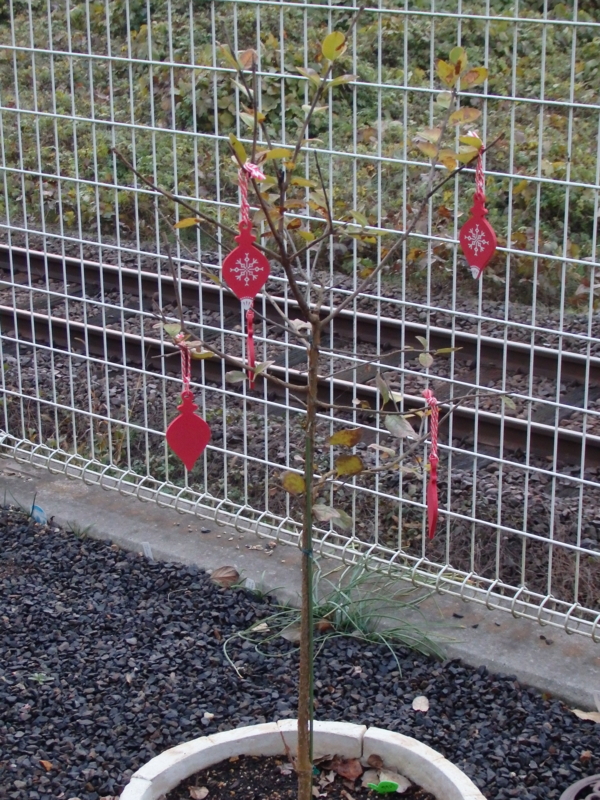 f:id:flower74230492:20141120063848j:plain f:id:flower74230492:20141120063848j:plain