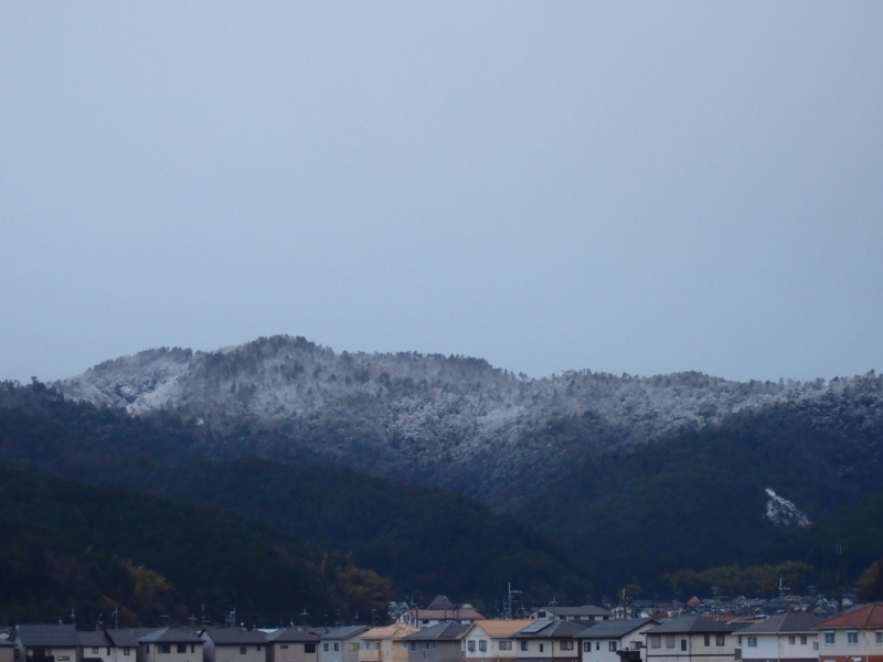 f:id:flower74230492:20150131072540j:plain