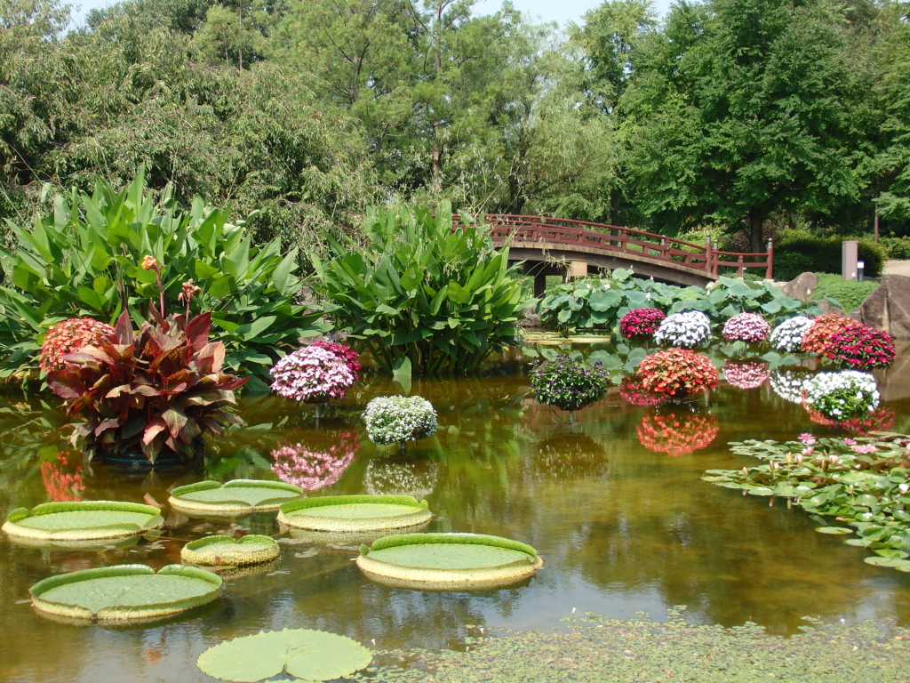 f:id:flower74230492:20150801142301j:plain f:id:flower74230492:20150801142301j:plain