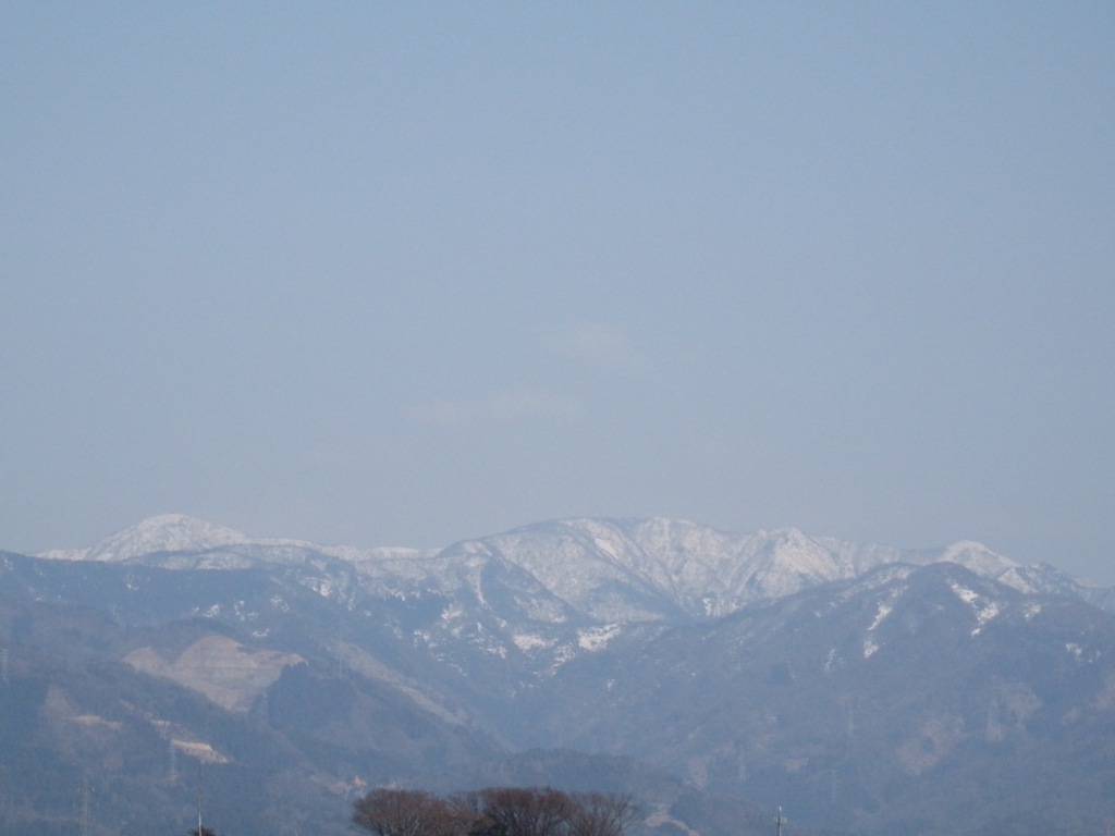 f:id:flower74230492:20160305150031j:plain f:id:flower74230492:20160305150031j:plain