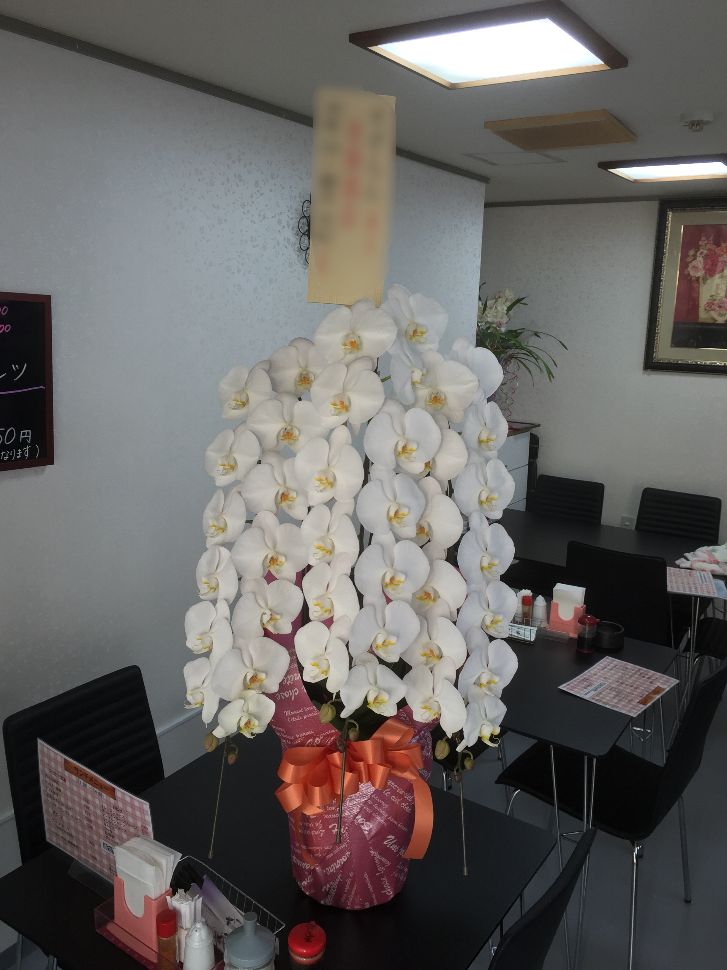 f:id:flowerpot0923:20160112170327p:image f:id:flowerpot0923:20160112170327p:image