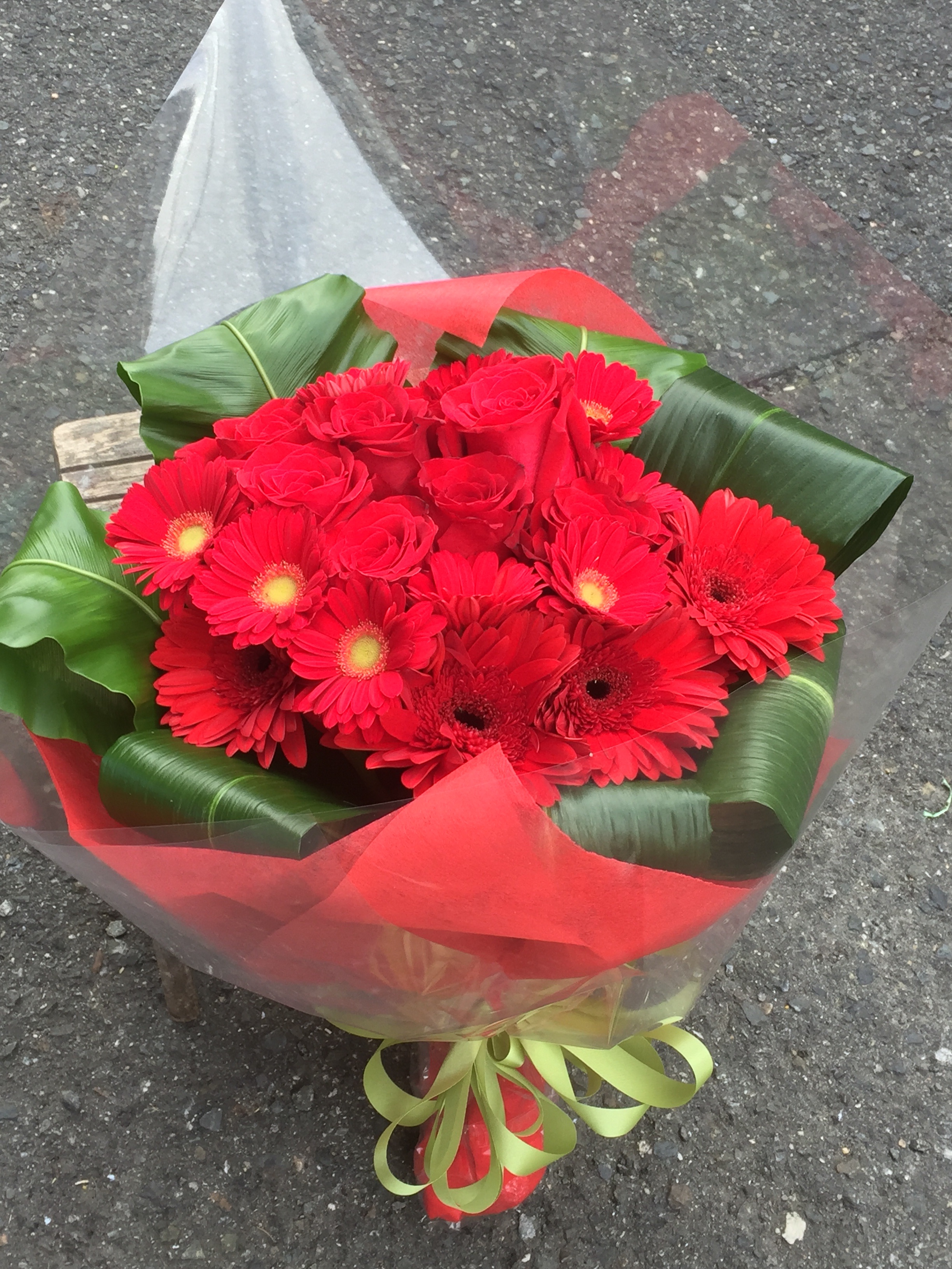 f:id:flowerpot0923:20160117193008j:image f:id:flowerpot0923:20160117193008j:image