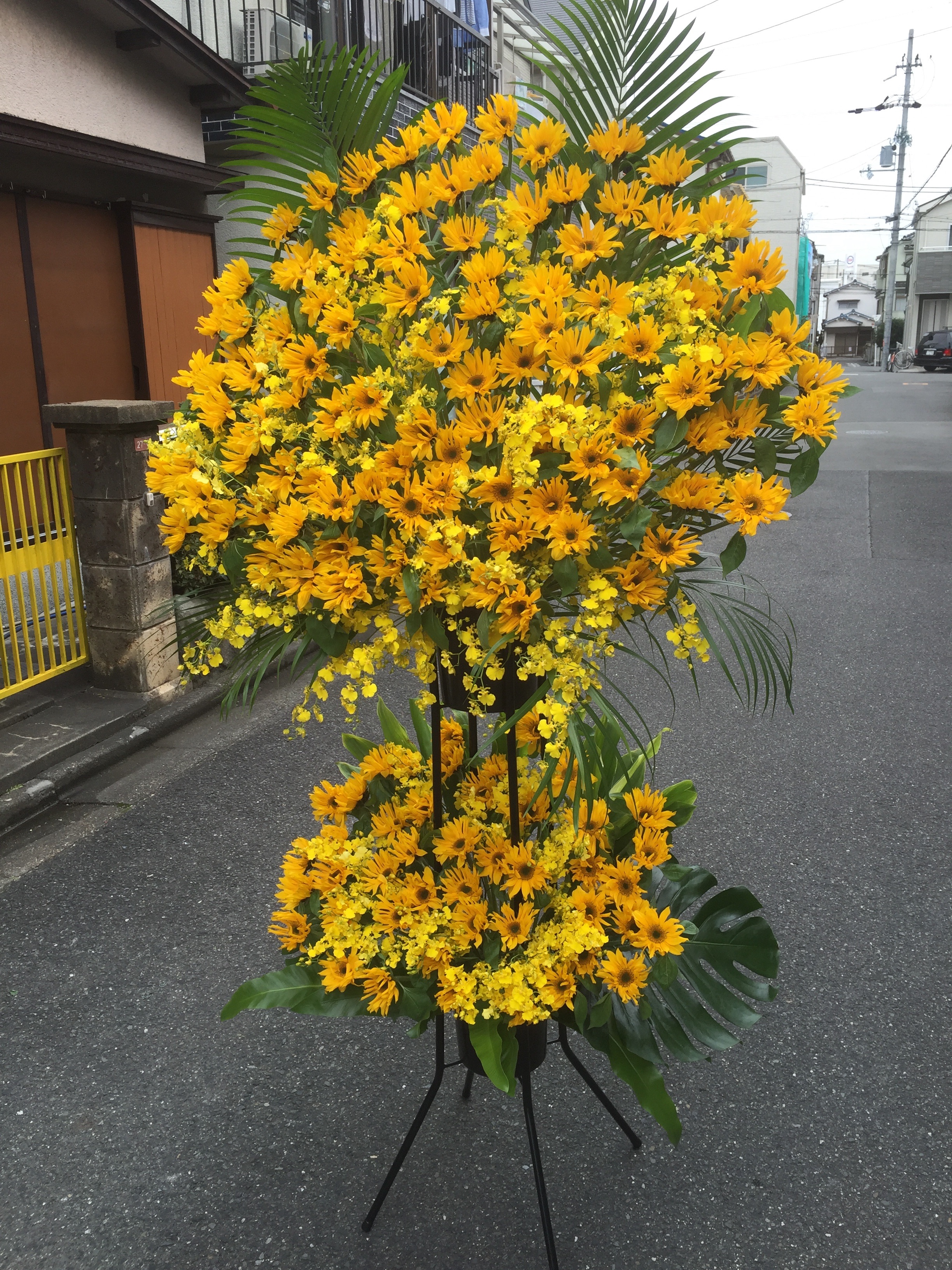 f:id:flowerpot0923:20160123210518j:image f:id:flowerpot0923:20160123210518j:image