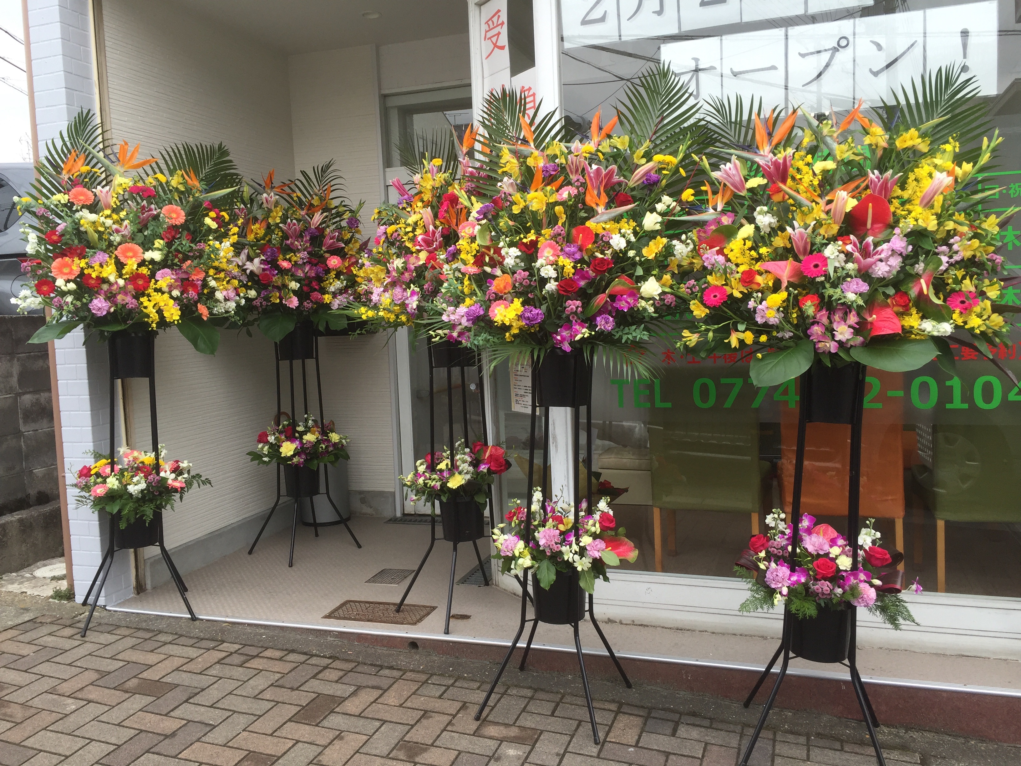 f:id:flowerpot0923:20160201192229j:image f:id:flowerpot0923:20160201192229j:image