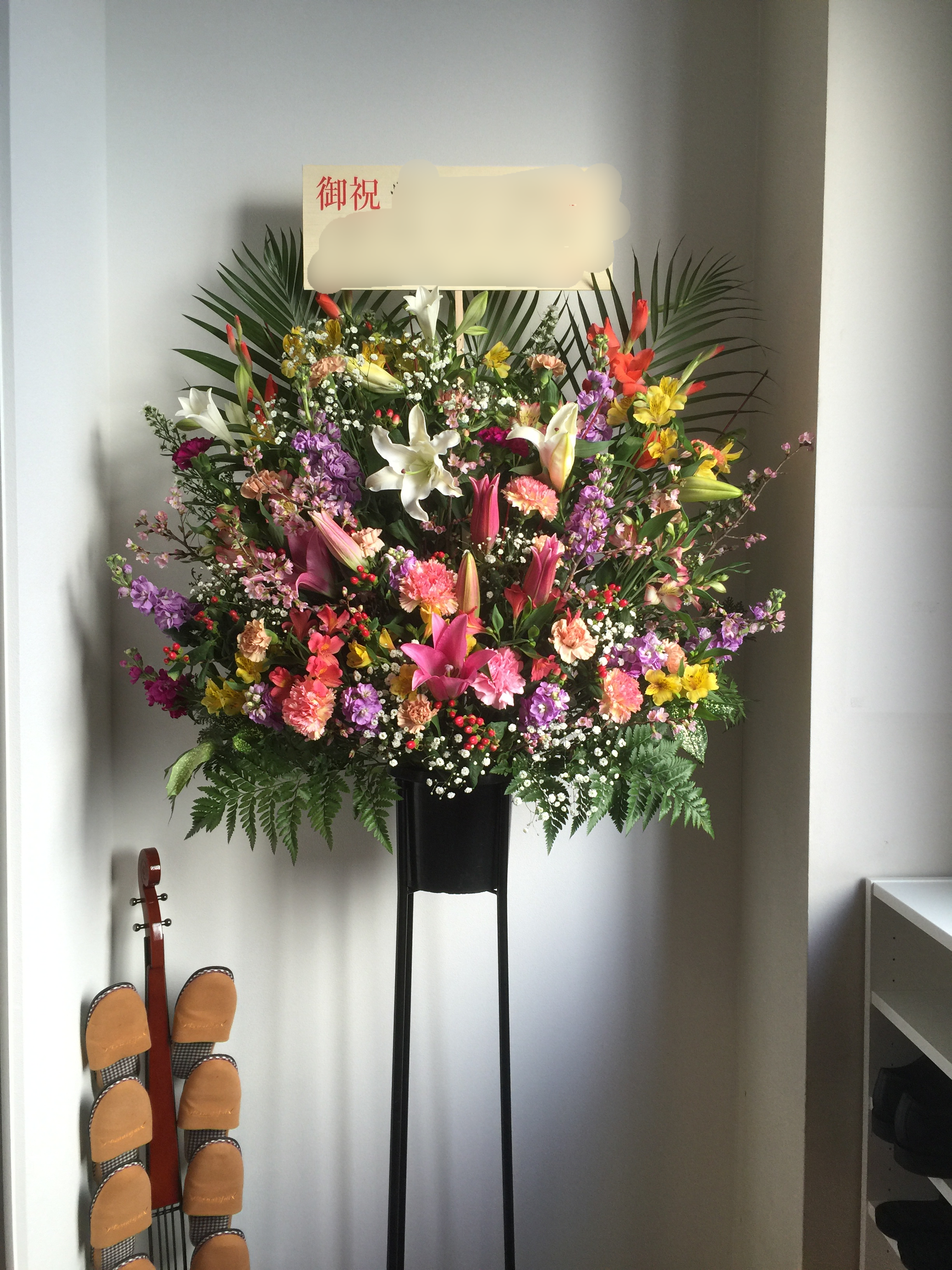 f:id:flowerpot0923:20160211190259p:image f:id:flowerpot0923:20160211190259p:image
