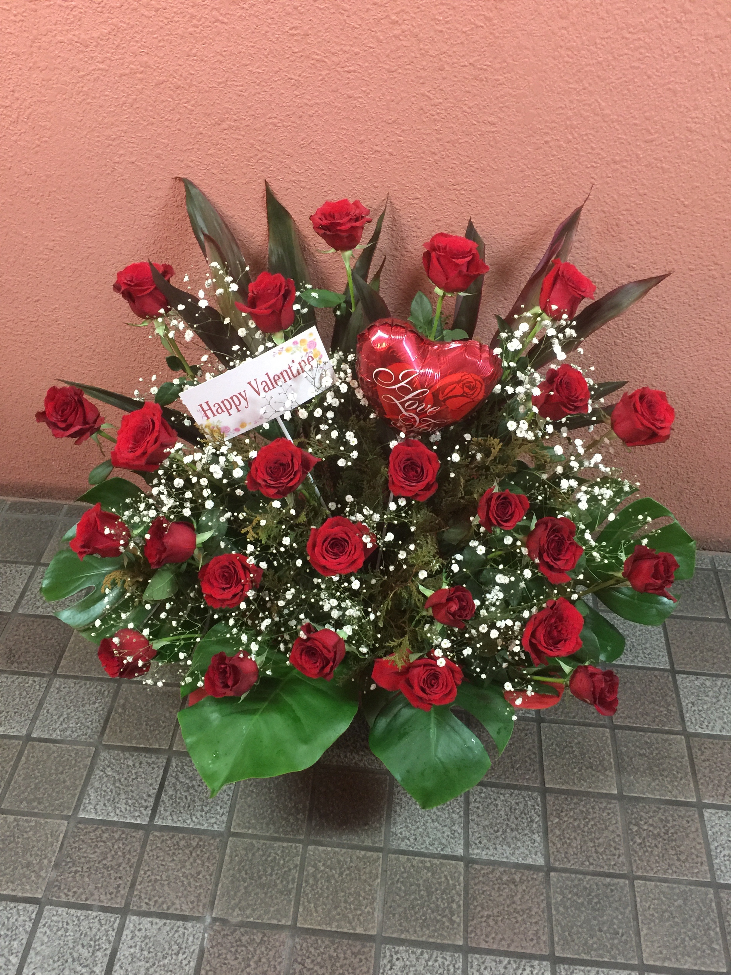 f:id:flowerpot0923:20160213232918j:image f:id:flowerpot0923:20160213232918j:image