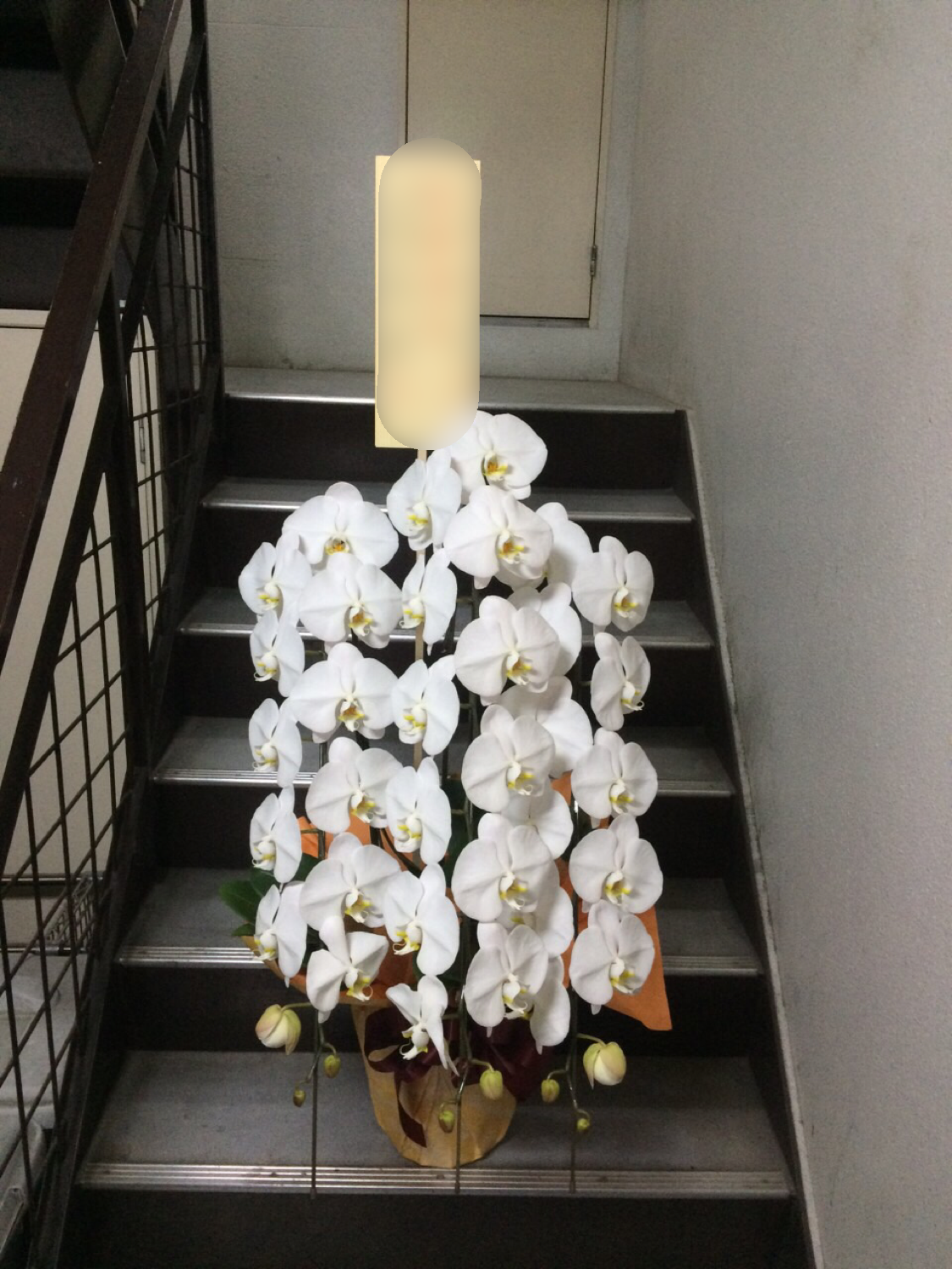 f:id:flowerpot0923:20160305224931p:image f:id:flowerpot0923:20160305224931p:image
