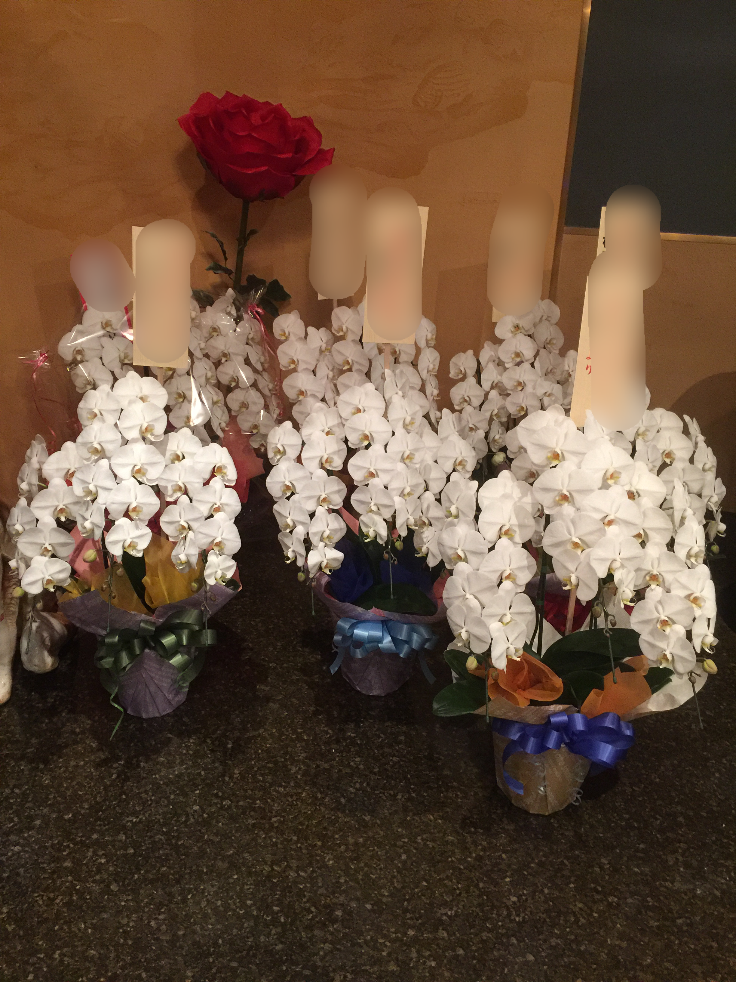 f:id:flowerpot0923:20160306205011p:image f:id:flowerpot0923:20160306205011p:image
