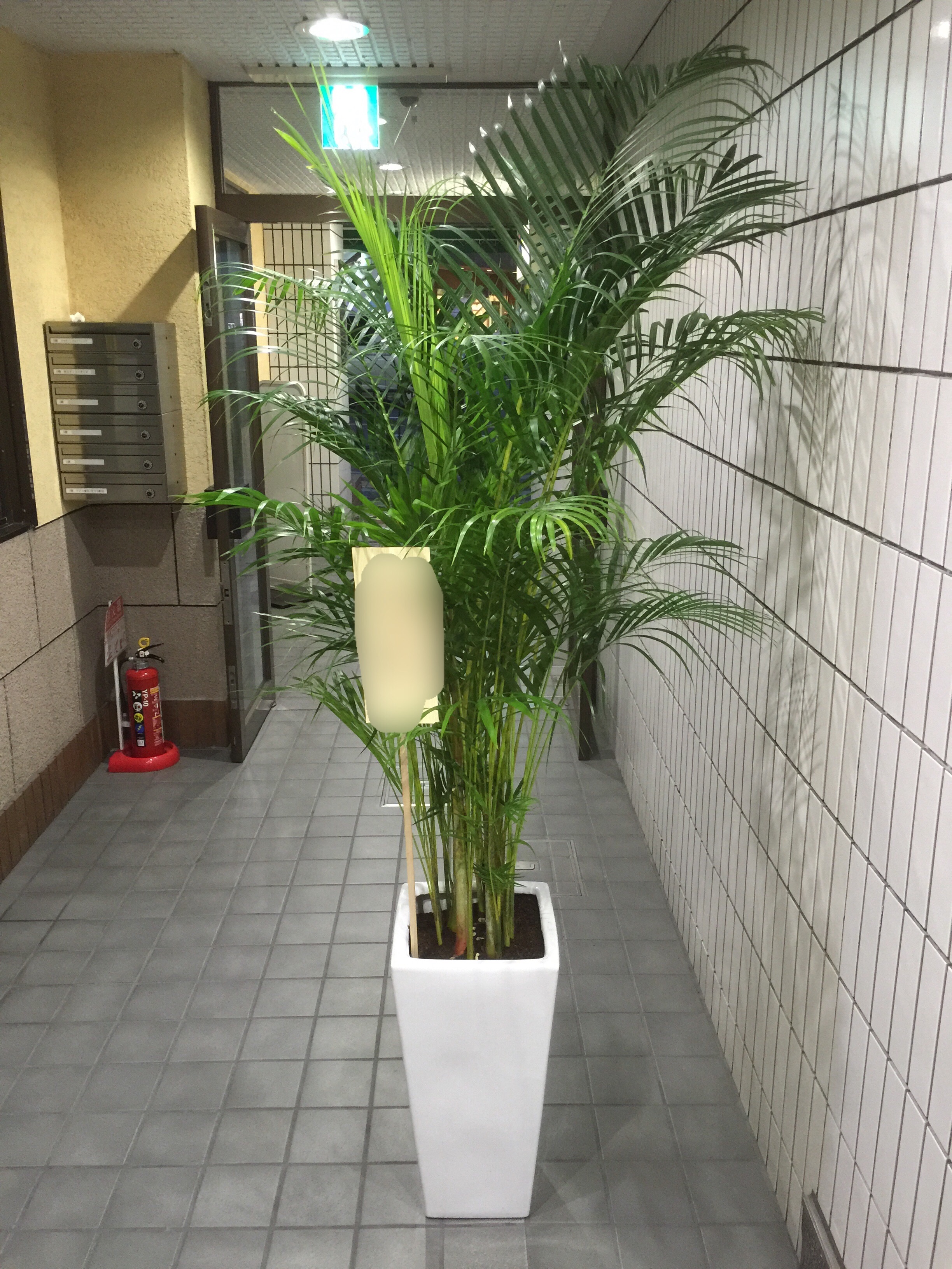 f:id:flowerpot0923:20160425163838j:image f:id:flowerpot0923:20160425163838j:image