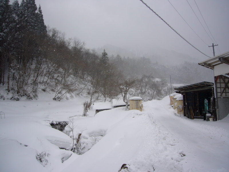 f:id:fniku:20110316120054j:image f:id:fniku:20110316120054j:image