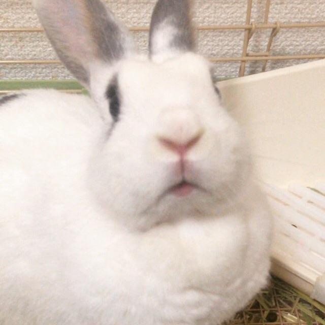 f:id:fntym:20150502020734j:image f:id:fntym:20150502020734j:image