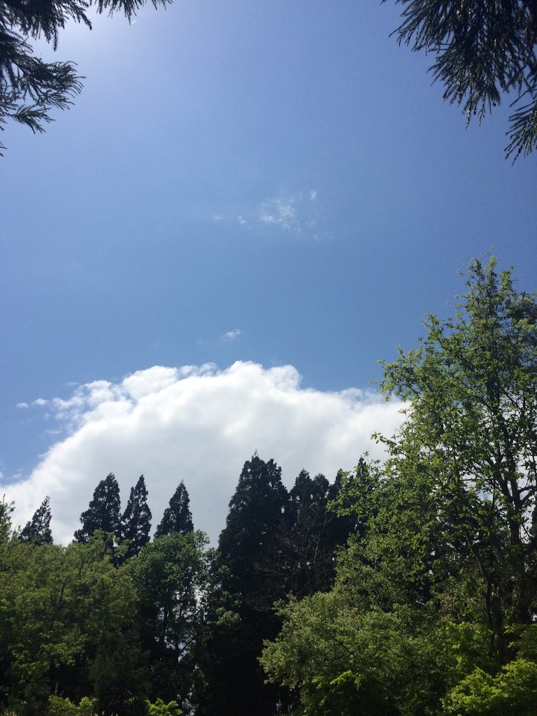f:id:foodie-dorothy:20160504213543j:image f:id:foodie-dorothy:20160504213543j:image