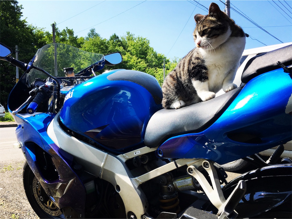 f:id:fool-on-the-wheel:20160606171424j:image f:id:fool-on-the-wheel:20160606171424j:image