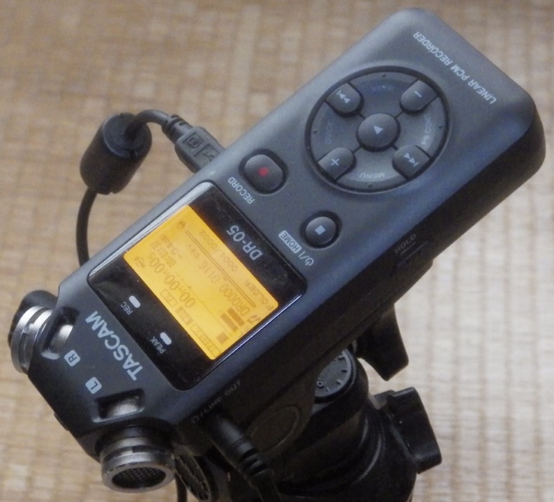 【未使用品】レコーダー TASCAM DR-05 VERSION2 Tascam Portable Studio Recorder, Black, 7.5 x 2.4 x 1.2