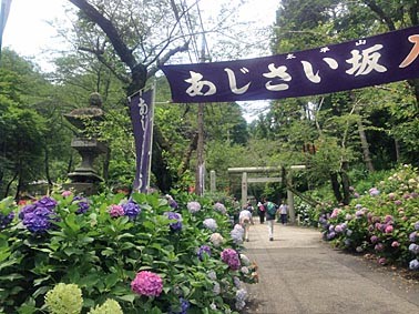 f:id:freaky47:20140706193331j:image f:id:freaky47:20140706193331j:image