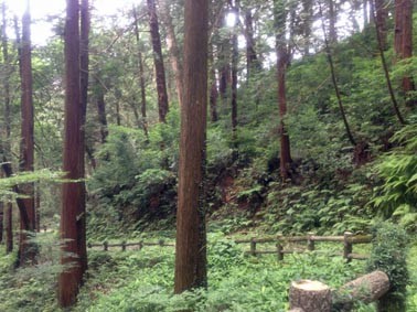 f:id:freaky47:20140706193436j:image f:id:freaky47:20140706193436j:image