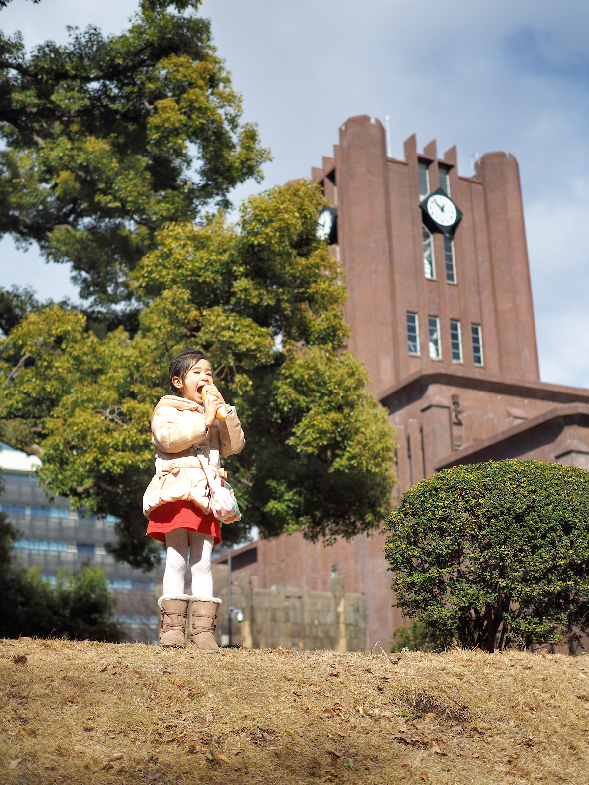 f:id:fridaynight:20160124125229j:plain