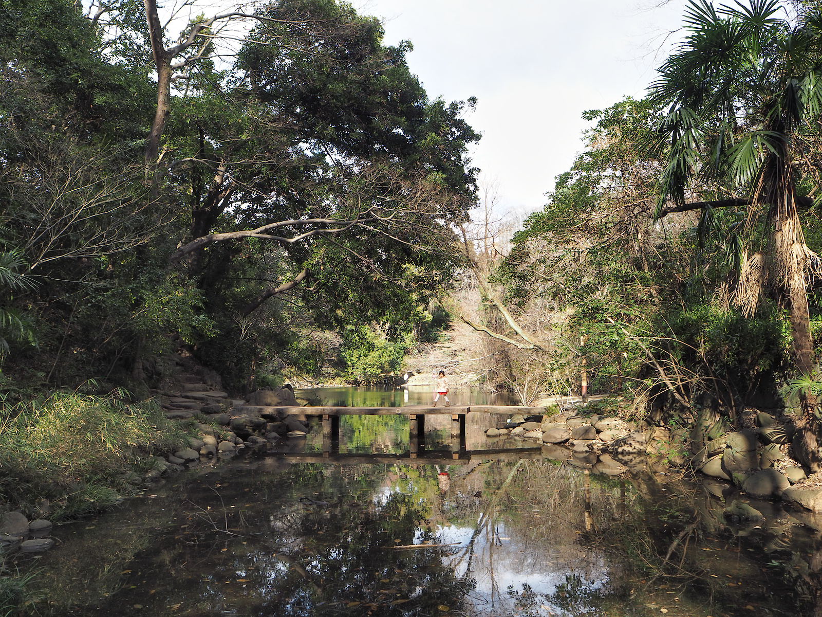 f:id:fridaynight:20160124130940j:plain