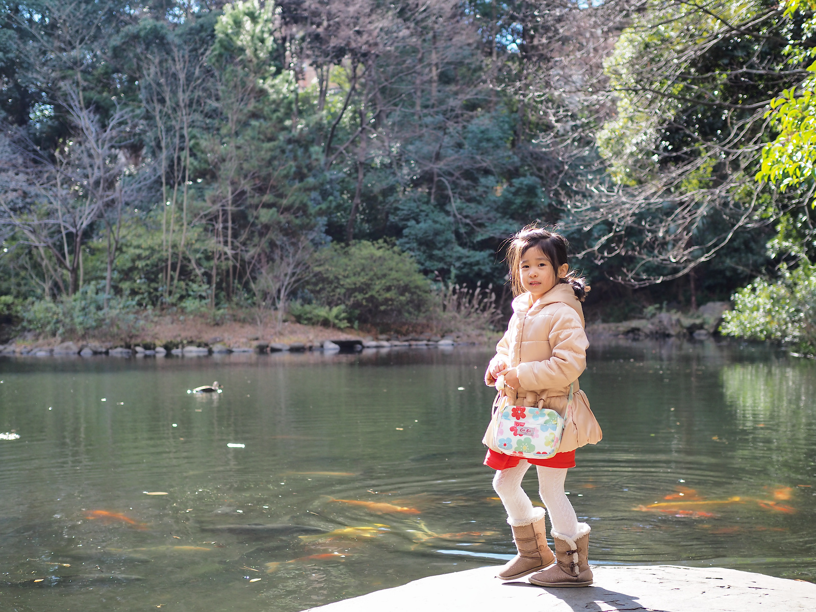 f:id:fridaynight:20160124131755j:plain