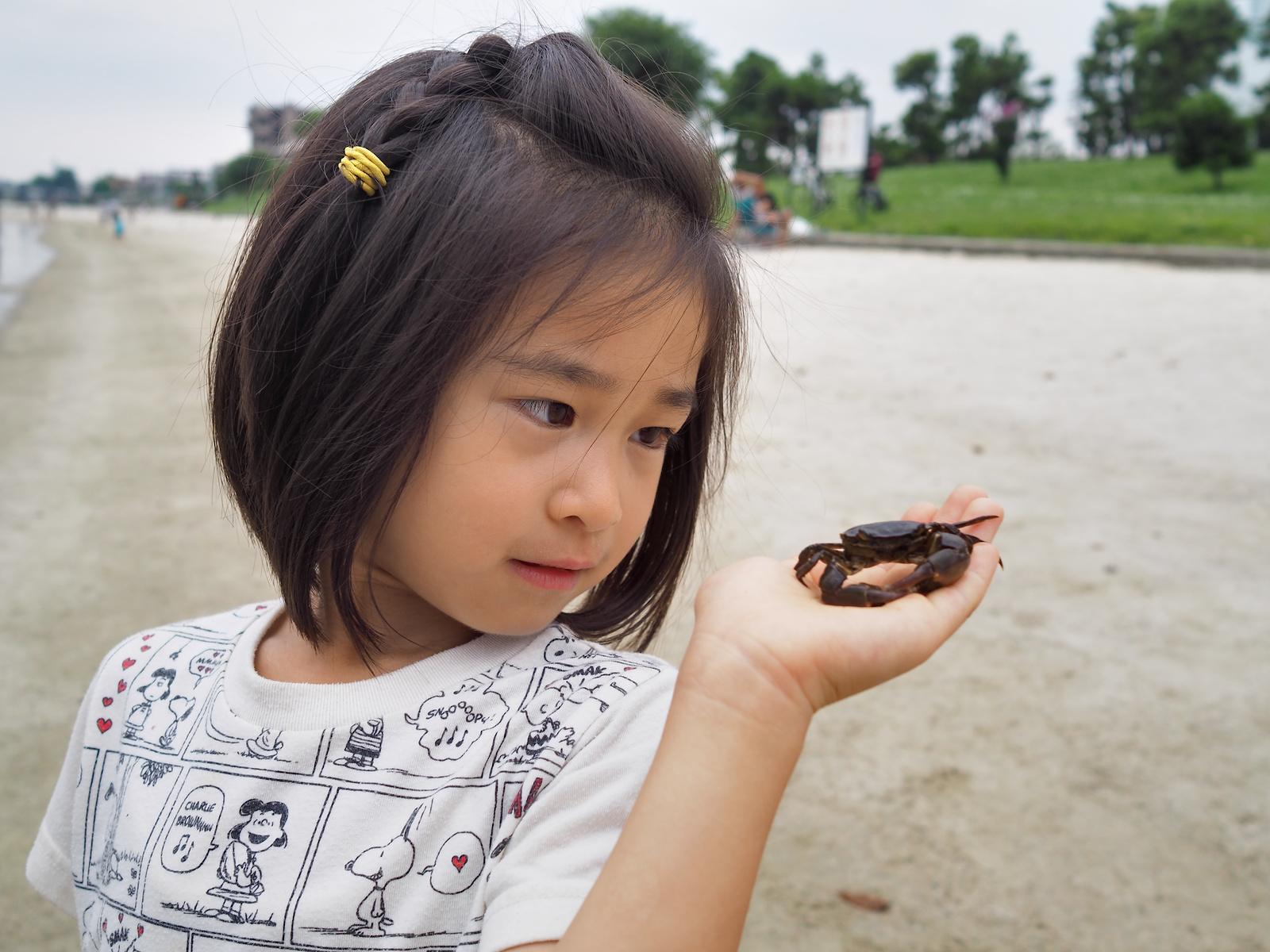 f:id:fridaynight:20160717133025j:plain f:id:fridaynight:20160717133025j:plain